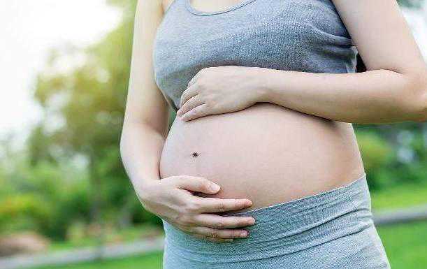 内蒙合法助孕流程，「怀孕建档所需材料」内蒙古妇幼保健院怀孕建档流程