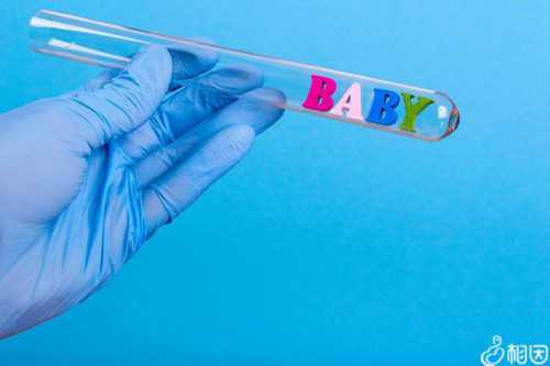 2026同性情侣可以通过试管助孕供卵生子吗