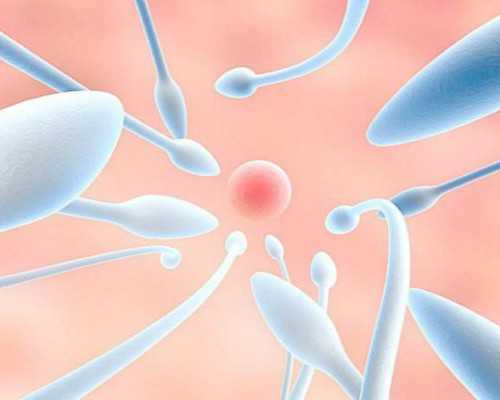 宣告胎停之后的一周