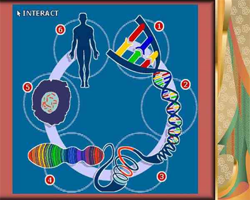 子宫内膜薄能代怀孕吗如何增加代怀孕几率
