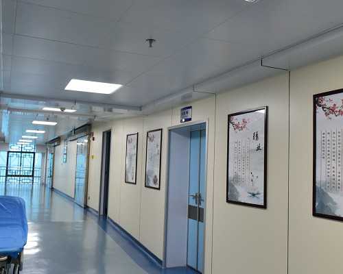 淄博供卵成功率_国内人工代孕咨询,如何能提高试管婴儿*率？饮食很重要！