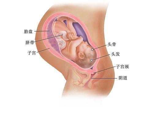 广州供卵代孕:做造影检查后来大姨妈量很多