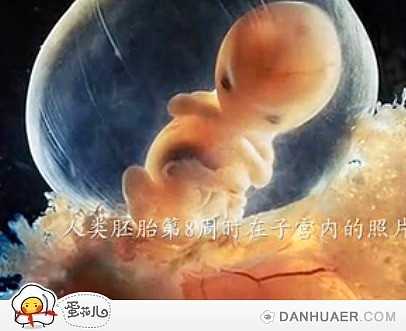 亲子宝贝代孕被骗·绝经供卵成功率多少·代孕妇