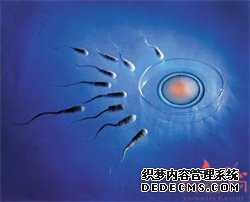 怎么确认供卵者是一个人-找供卵试管的人多吗_憩室不修复可以怀孕吗？避孕药