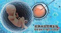 做供卵试管条件-供卵试管网站_先天性卵巢早衰能活多久-供卵试管几周可以做亲