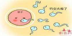 供卵试管中心包生男孩-女方不孕，能否帮她供卵试管_2021年端午节出生的宝宝好