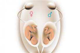 卵巢储备功能下降怎么调理？可逆吗？