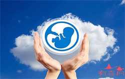 喜宝供卵生殖中心，妈妈胎教计划的主要内容是什么