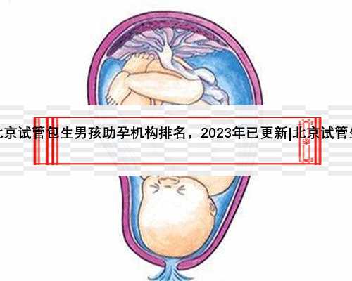 北京试管包生男孩助孕机构排名，2023年已更新|北京试管生